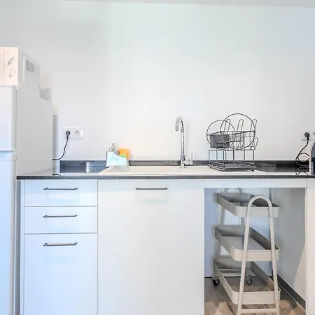 Loft Del Ter Apartment *