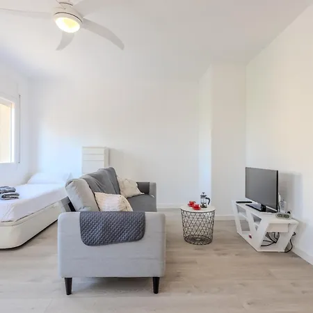 Loft Del Ter Apartment *